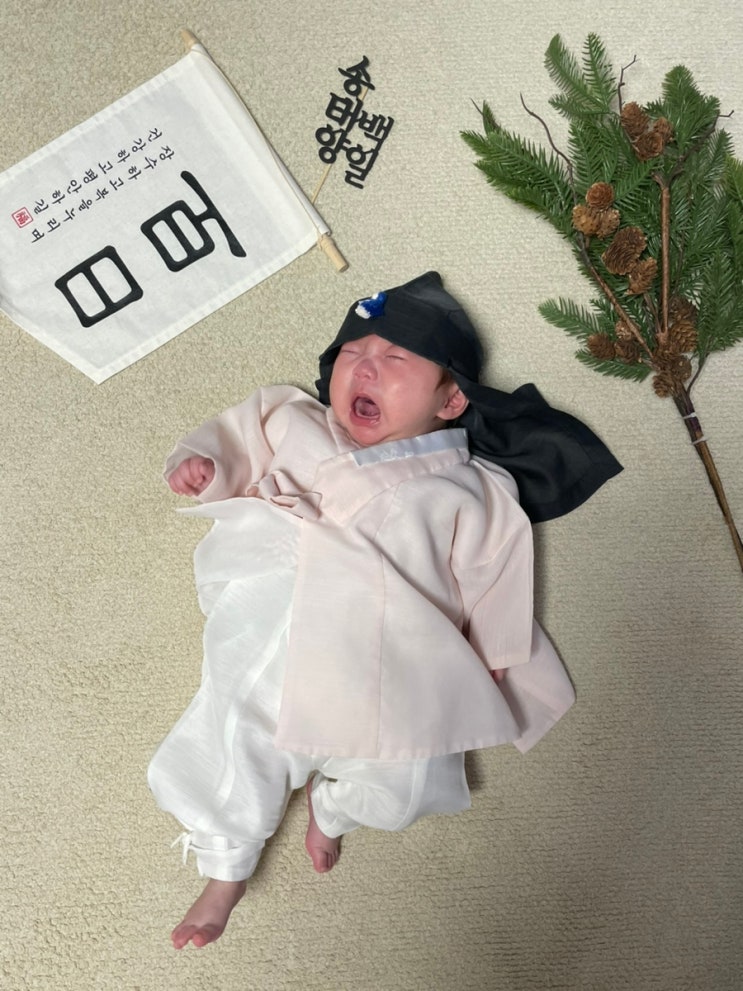 꼼떡이 백일잔치 내돈내산 (가온해테이블, 봄설본점, 별빛담아 화성동탄점)
