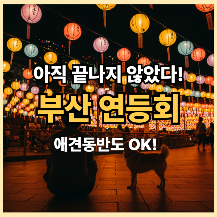  2025 부산 연등회 가볼까? 애견 동반 OK! 야경맛집 삼광사·송상현 광장