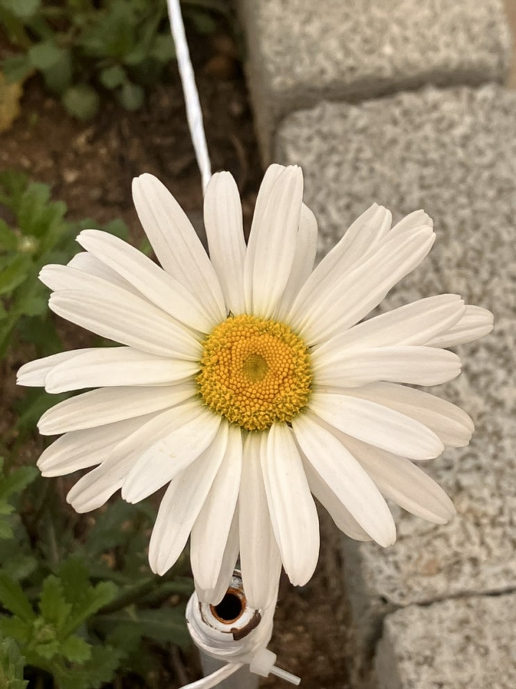  육아 꿀팁: 더 행복한 육아를 위한 나만의 비법입니다.
