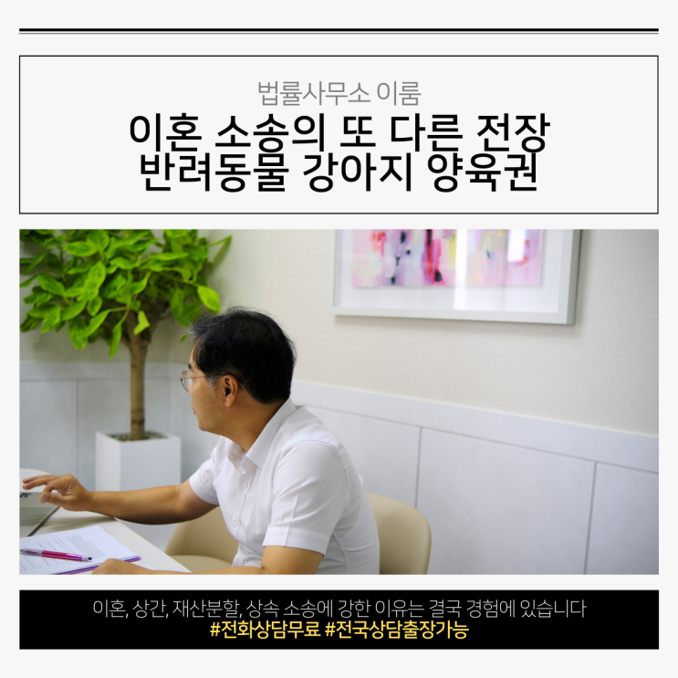  이혼 소송의 또 다른 전장 반려동물 강아지 양육권
