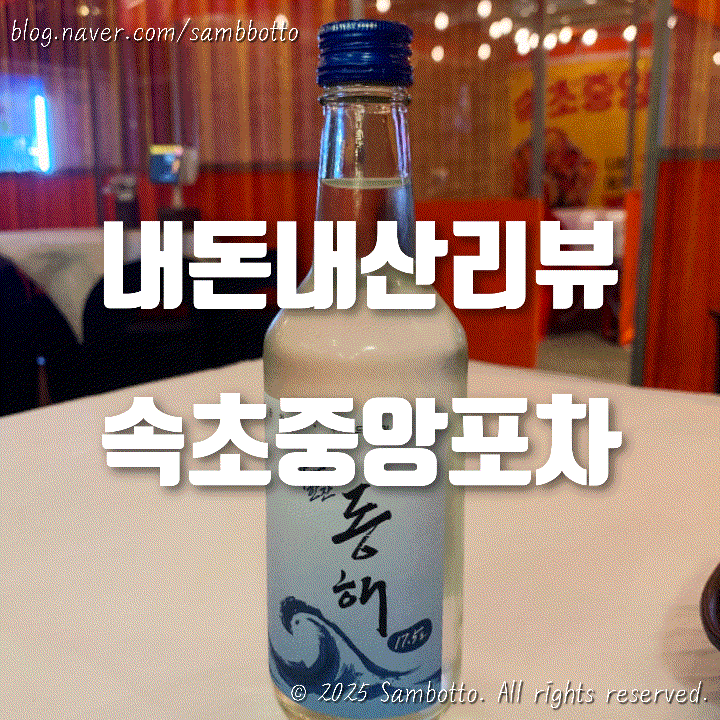  [내돈내산] 속초중앙포차 방문 후기 | 오징어볶음, 감자채전 맛집, 동해소주까지 솔직 리뷰