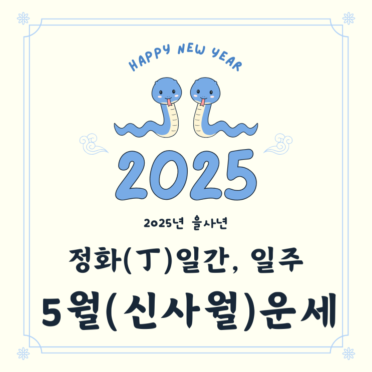   2025년 을사년 5월 신사월 정화일간 정화일주 운세 
