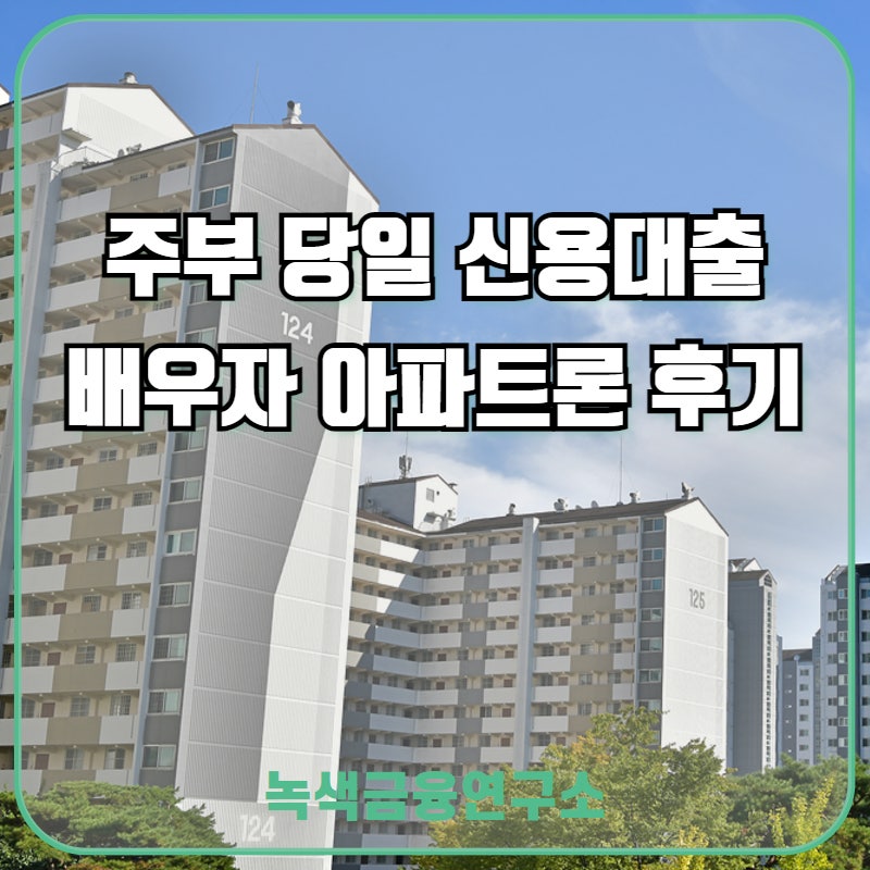 주부 당일대출 배우자 아파트론 무설정 성공후기