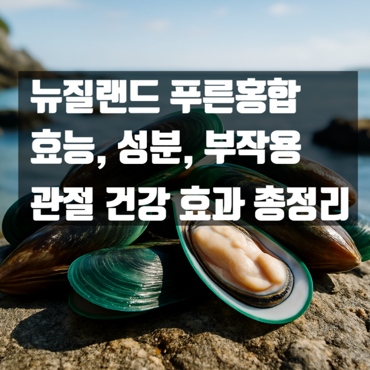  뉴질랜드 푸른홍합 효능 성분 부작용 총정리, 관절 건강의 끝판왕이라고?