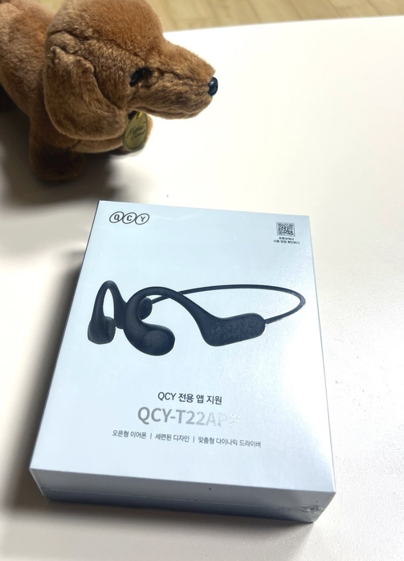 QCY T22 러닝 이어폰으로 사용한 솔직리뷰
