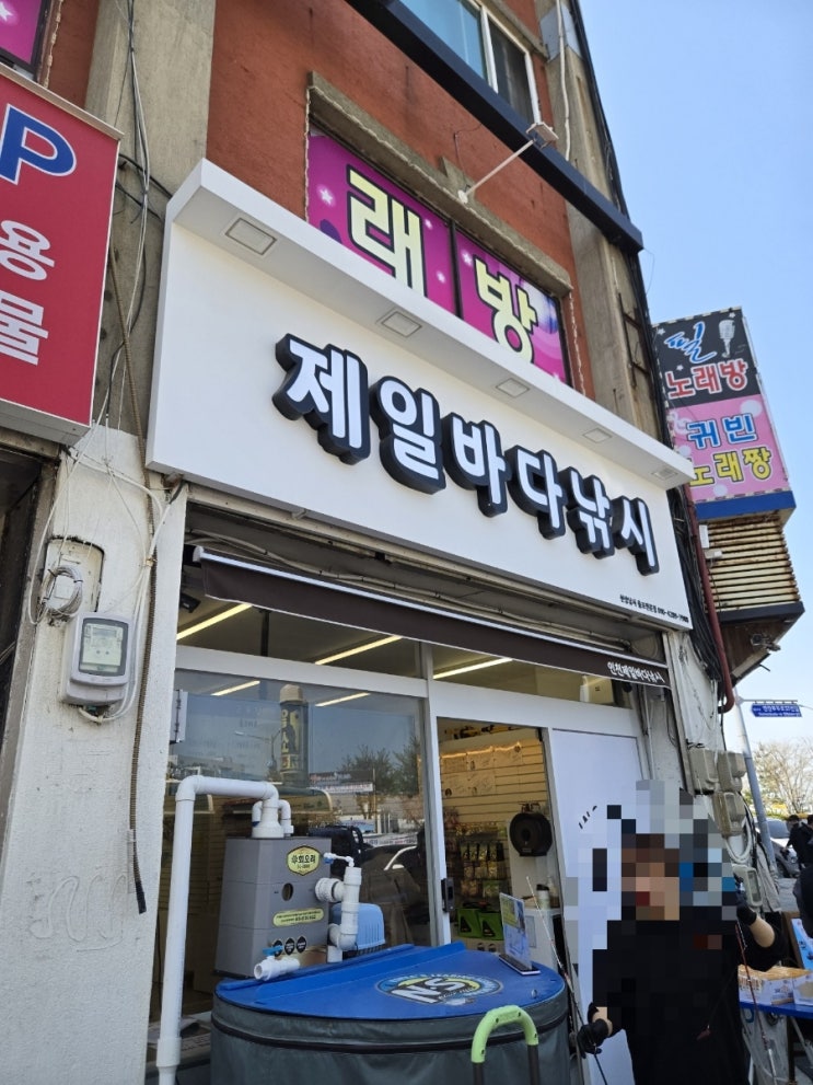  인천은 참 재밌는 도시다. (쭈꾸미 낚시, 도깨비 경매장)