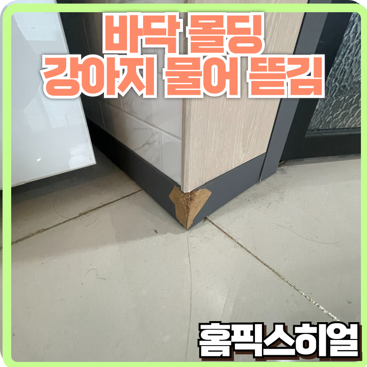  강아지 물어뜯은 바닥몰딩 복원, 티 안나게 완벽하게 해결했습니다!