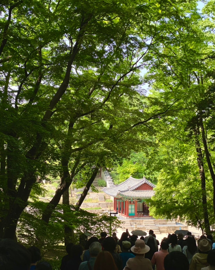  창덕궁 후원 예약하고 다녀온 후기(+홈페이지 예약방법)
