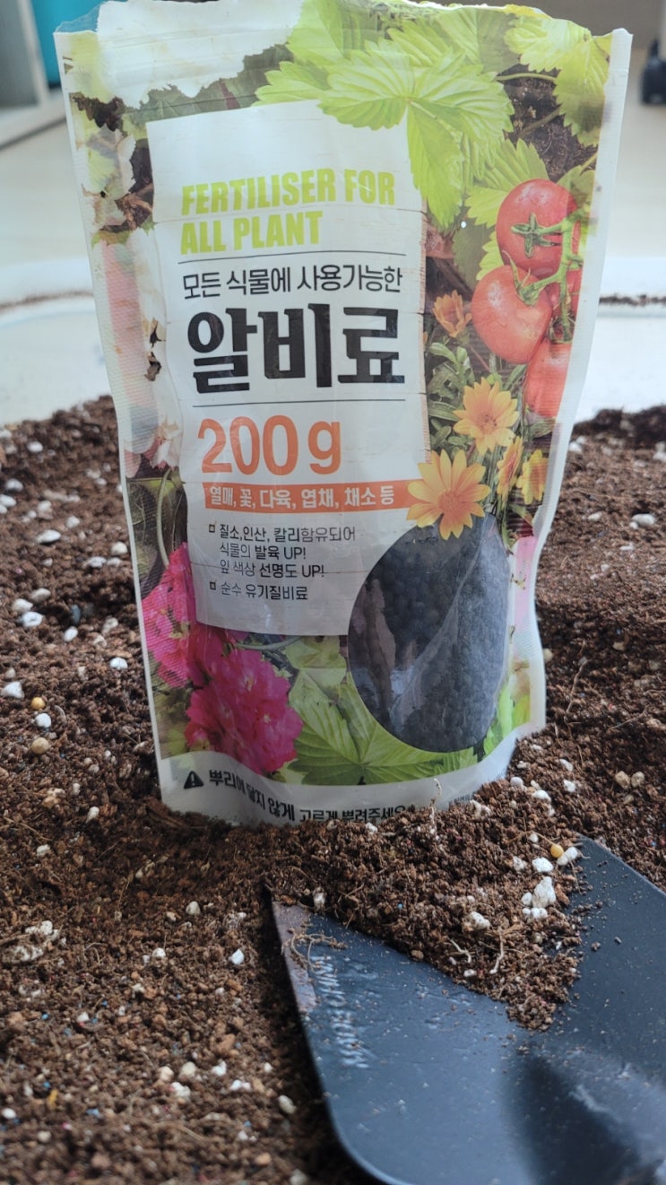 실내식물·화분 영양제와 알비료 초보자 가이드