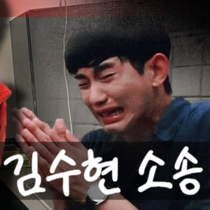 김수현, 광고주 30억 원 손해배상 소송! 넉오프 추가 소송 예정!?