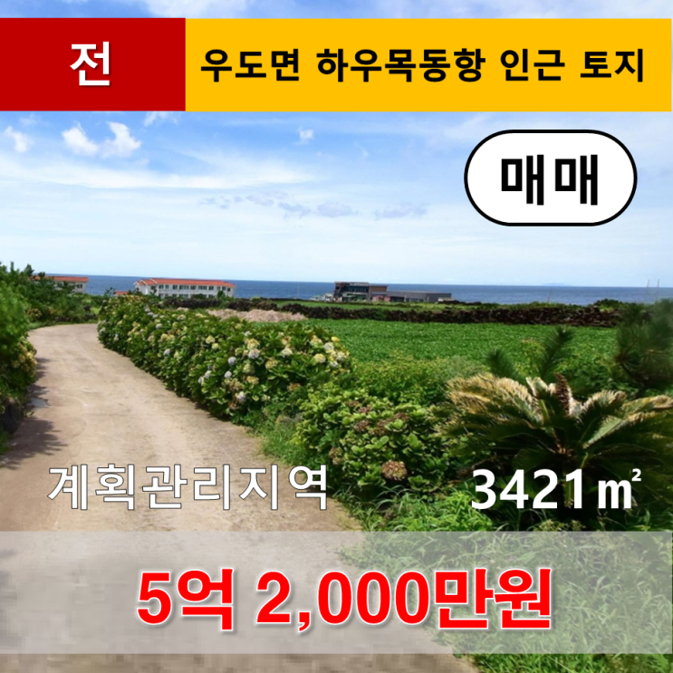  《제주도토지》 우도면 연평리 하우목동항 인근 토지 매매