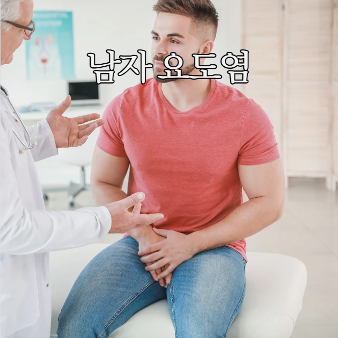  남자 요도염 증상 원인 치료 예방법