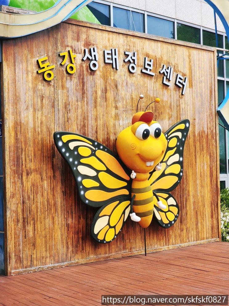 [영월 곤충박물관] 강원도 아이랑 놀거리 4D체험과 놀이터도 있는 동강생태정보센터