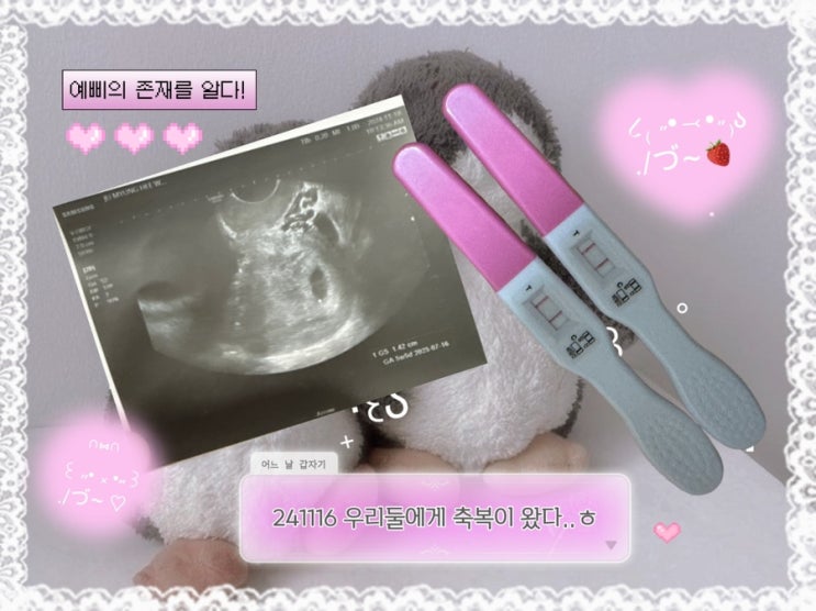  241102 11월 한달의 기록