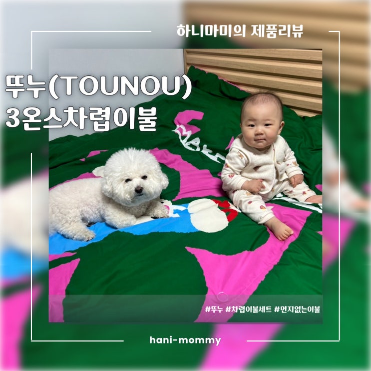 사계절차렵이불추천, 뚜누 3온스 알러지케어 차렵이불 세트 사계절차렵이불추천, 뚜누 3온스 알러지케어 차렵이불 세트
