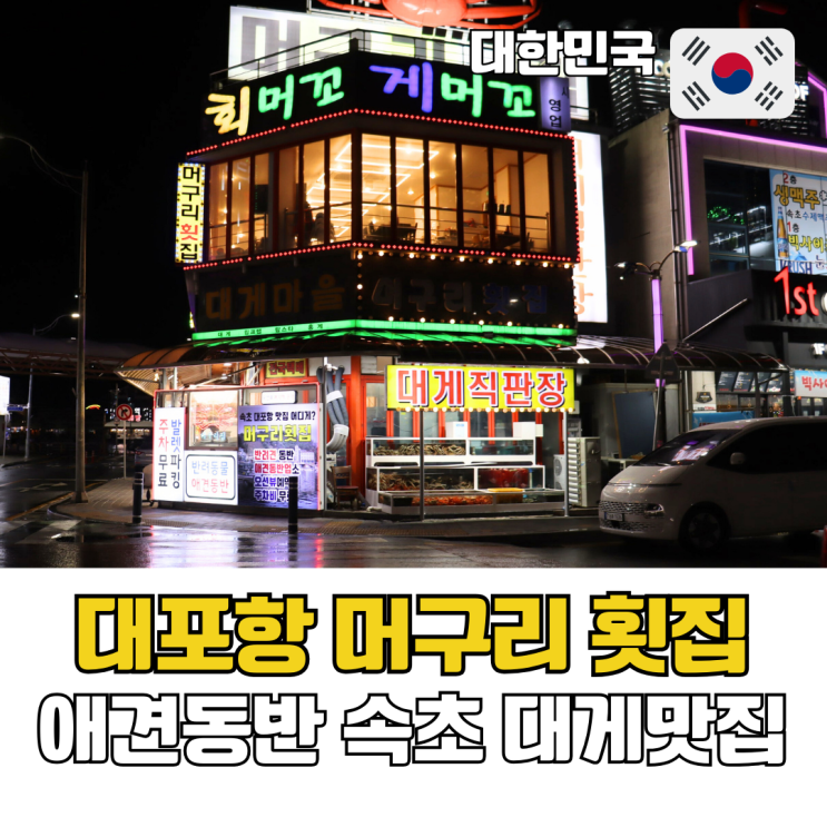  속초 횟집 추천 애견동반 음식점 대포항 대게 맛집 머구리횟집