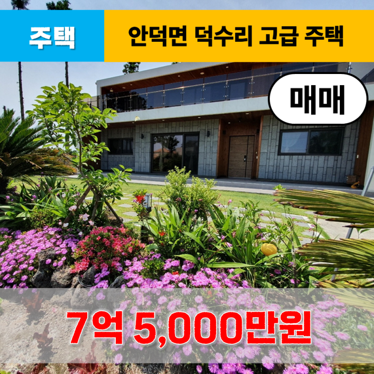  《제주도주택 매매》 서귀포시 안덕면 덕수리 고급 단독주택 매매