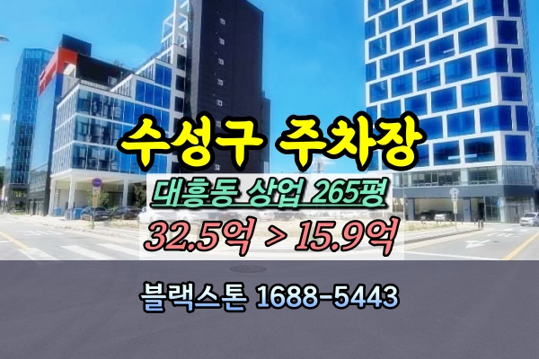  대구 수성구 대흥동 주차장 경매 200평대 토지 [2024타경6113]