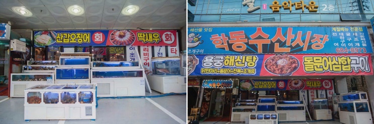  아이들과 즐기는 신선한 해산물, 여수시청 맛집 학동수산시장