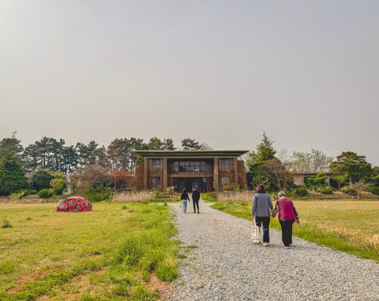  함평 대형카페 폐교 신상 카페 시목