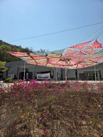 사진 4