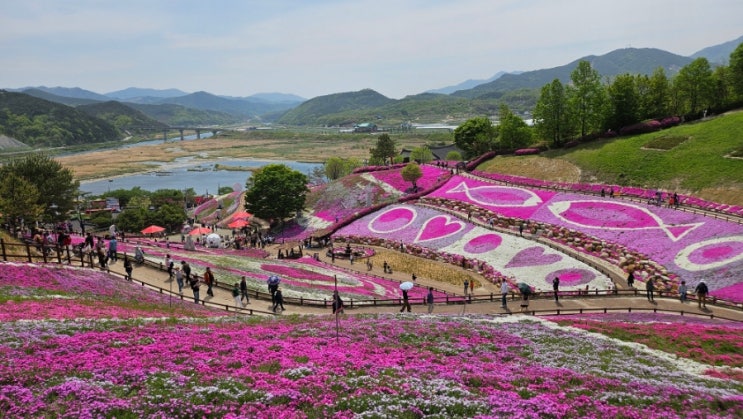  산청 생초 꽃잔디 축제 기간 가는길 경남 산청 여행