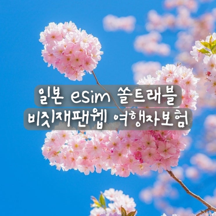  일본 오사카 여행 준비물 esim 무제한 추천 쏠트래블 비짓재팬웹 여행자보험