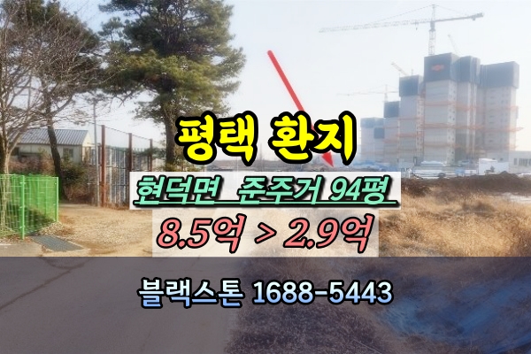  평택시 환지 경매 현덕면 100평이하 [2024타경40876]