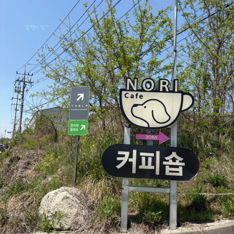 사진 3