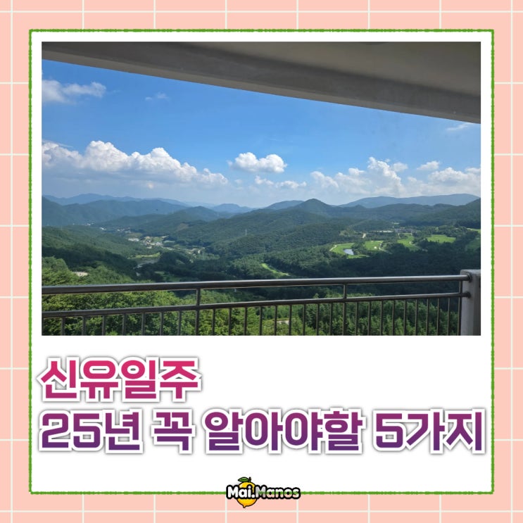  신유일주라면 꼭 알아야 할 2025년 운세 성격 연애운 이야기
