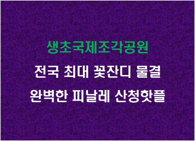  생초국제조각공원, 전국 최대 꽃잔디 물결 완벽한 피날레 산청핫플