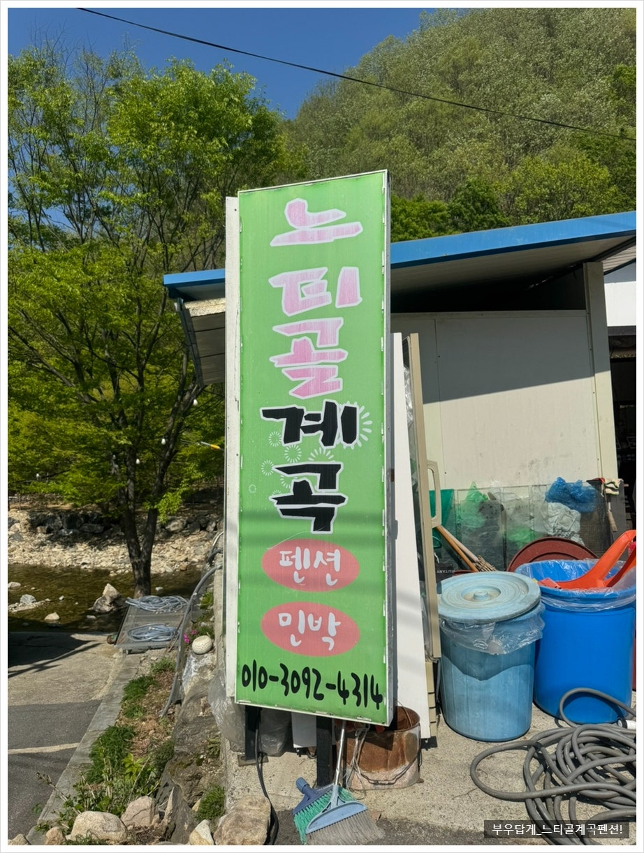 느티골펜션 사진 1