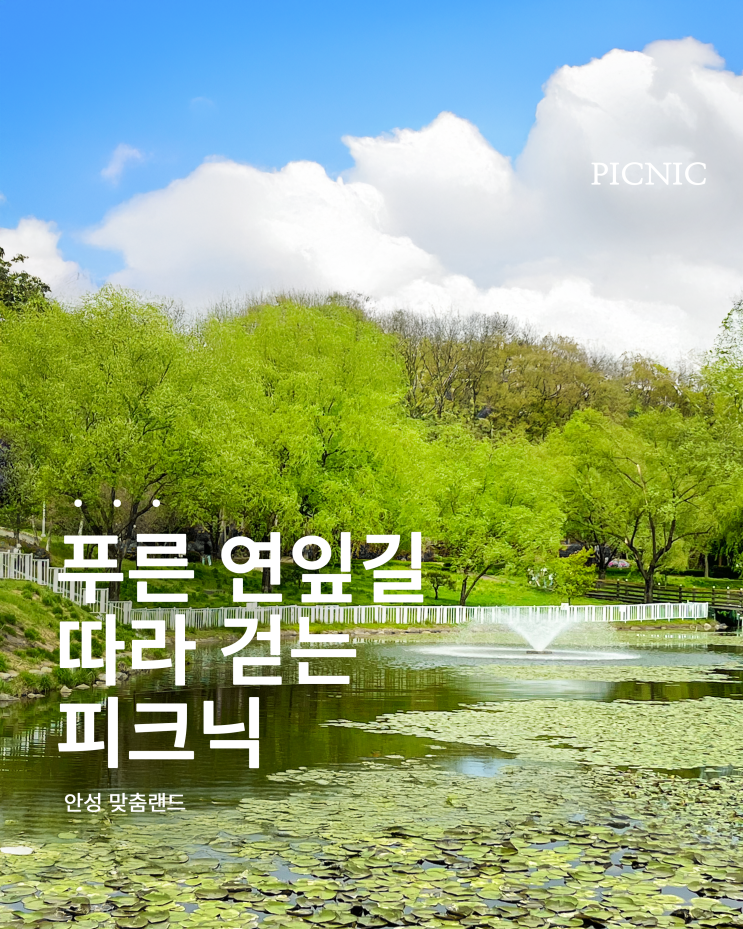  서울·용인 근교 피크닉 추천｜자연 속 힐링, 안성맞춤랜드 완벽 정리!