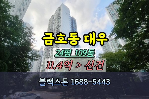  금호동 대우아파트 경매 24평 109동 [2024타경2504]