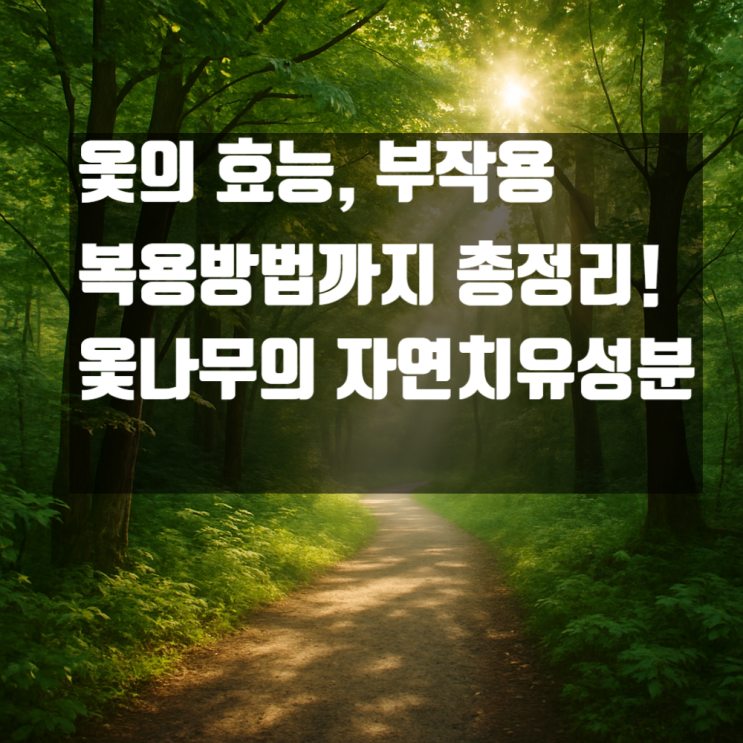  옻 효능 부작용 총정리, 옻나무가 전하는 자연치유 성분