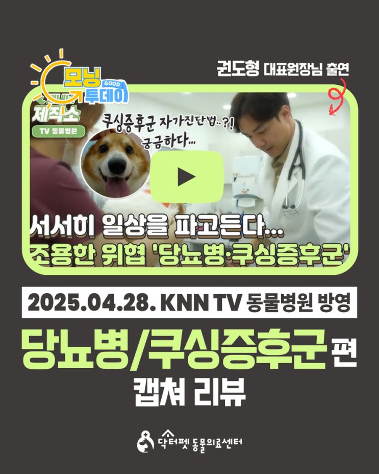  권도형 대표원장 KNN TV동물병원 출연 소리 없이 위협하는 '당뇨병·쿠싱증후군' 캡쳐 리뷰 부산 개금동물병원 닥터펫
