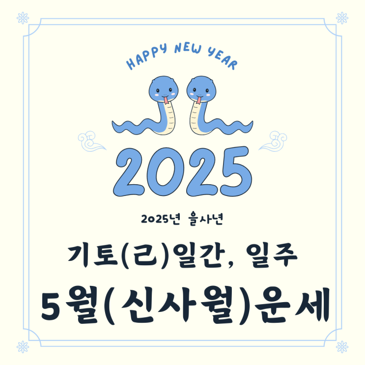   2025년 을사년 5월 신사월 기토일간 기토일주 운세 