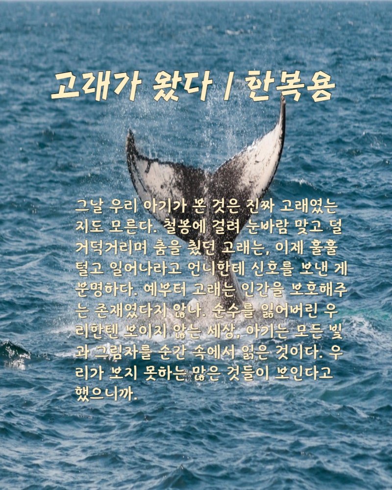 추천수필 - 고래가 왔다/ 한복용