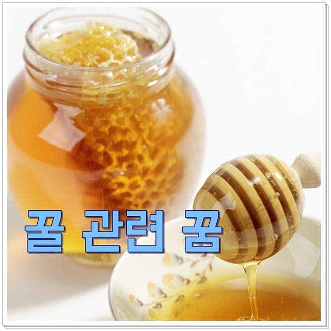 꿀 꿈 해몽 달콤한 꿀 좋은 징조 길몽 풀이
