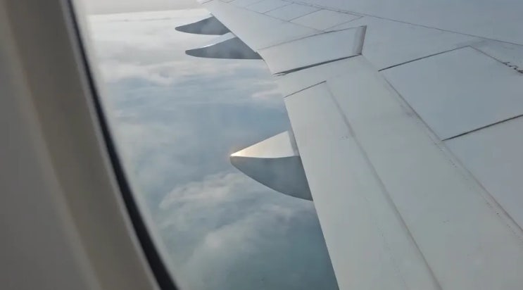  대만 3박 4일 자유여행 4일차: 타오위안 공항 1터미널, 공항 식당,  대한항공 기내식