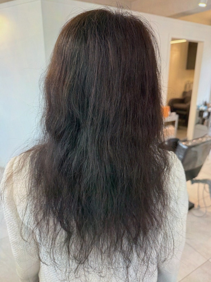  [미용실리뷰] 더케이스타일 발산역점, 아모레퍼시픽 앰플과 깔끔한 스타일링이 매력적인 마곡미용실
