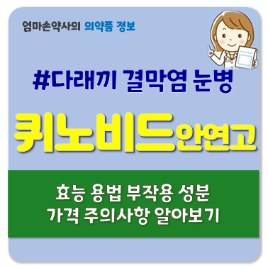 퀴노비드 이용액 안연고 다래끼 결막염 각막염 효능 가격 부작용 용법 주의사항