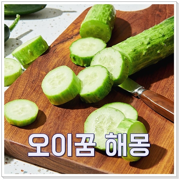 오이꿈 해몽 오이김치꿈 길몽 태몽 풀이