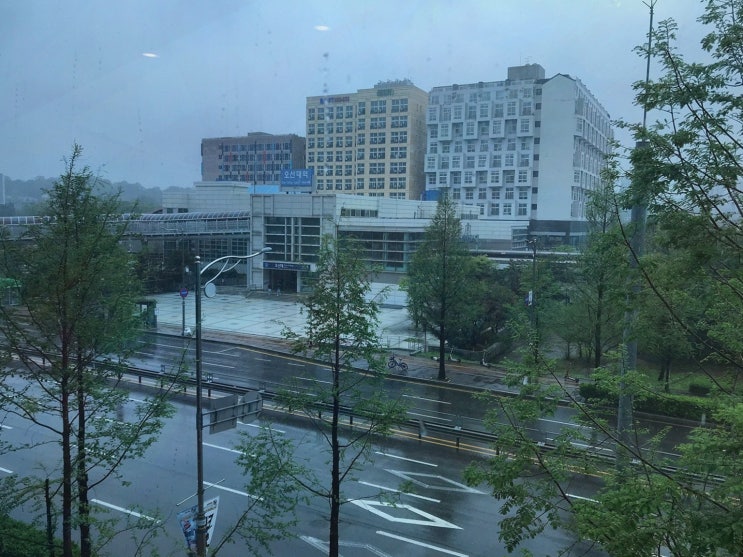  가족 외식하기 좋은 하이크랩, 킹크랩맛집으로 추천해요!