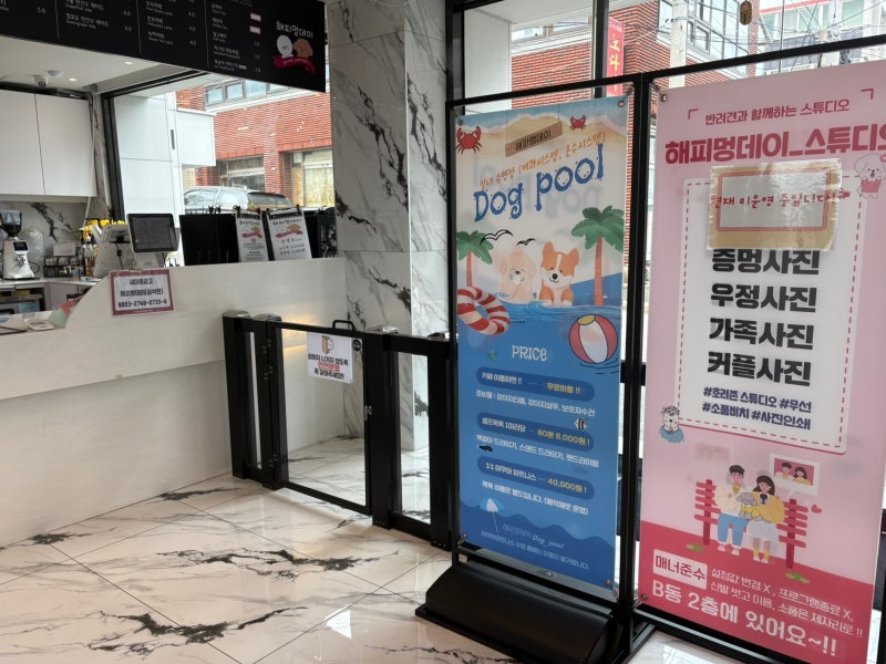 사진 5