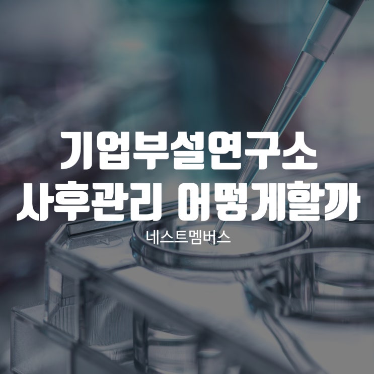  기업부설연구소 사후관리 어떻게 할까?