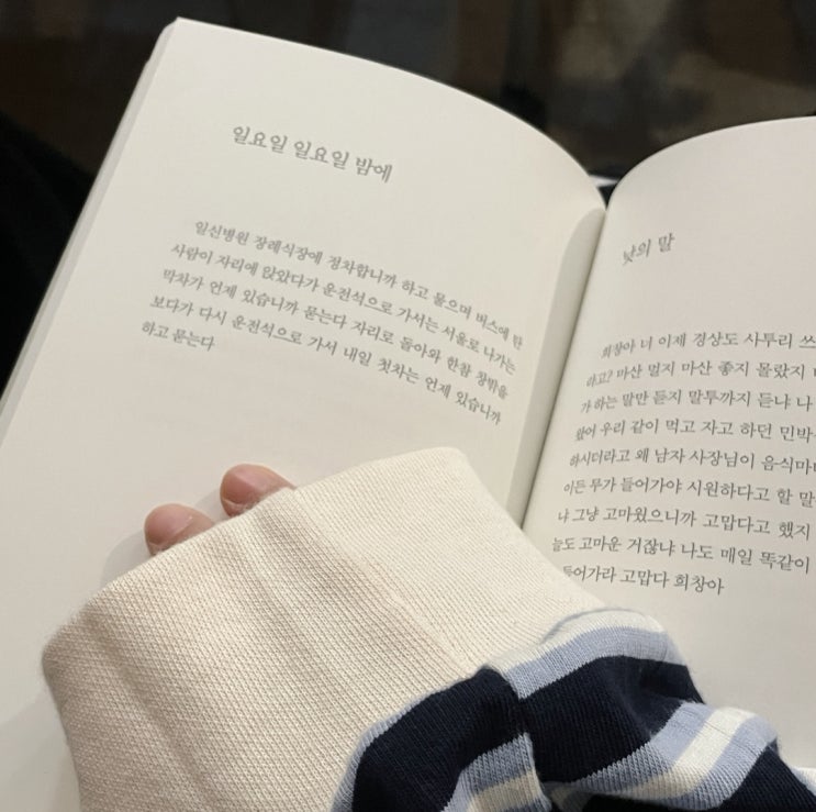 망원동 감성 카페, 앤트러사이트 서교점에서의 커피 한 잔 터틀윤 카페 후기