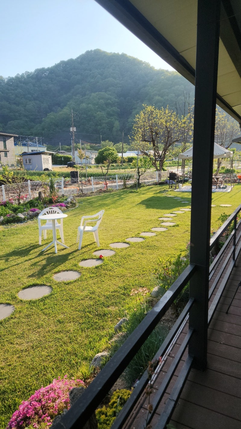 사진 5