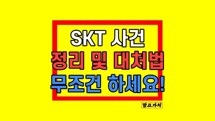 SKT 유심보호서비스 신청 가입 및 추가 대처법 SKT 유심보호서비스 신청 가입 및 추가 대처법