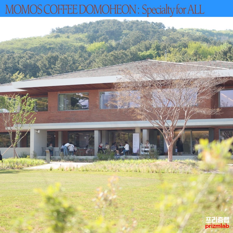 한국 최고의 카페 ️모모스커피 탐방기 ①도모헌 모모스 : 특별함을 모두에게, 부산을 찾는 이유[브랜드디렉터의 맛집 #11]